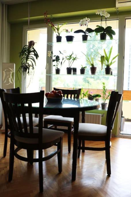 Beautiful Flat In Central Location By Flat Mаnager София Экстерьер фото